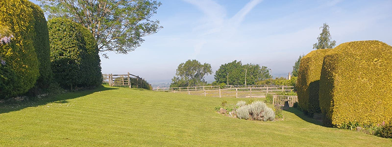 Landscaped garden